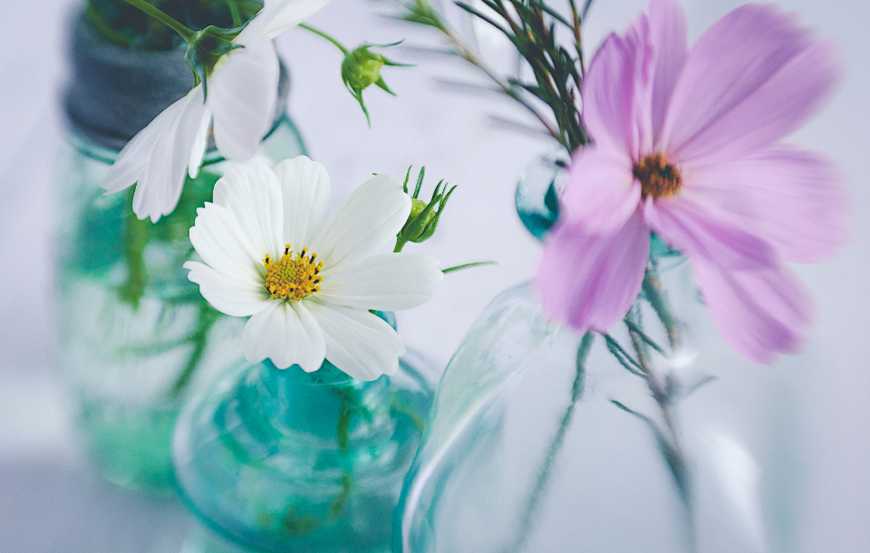 A fresh, cared-for finishing touch